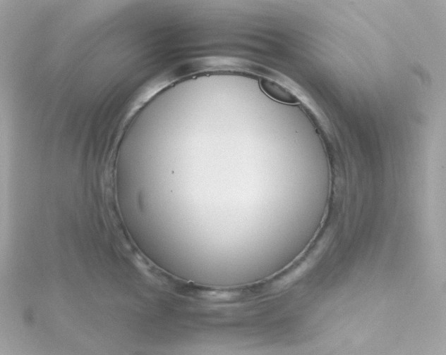 X0000115701145200911251829