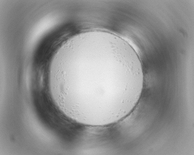 X0000115701150200911251829