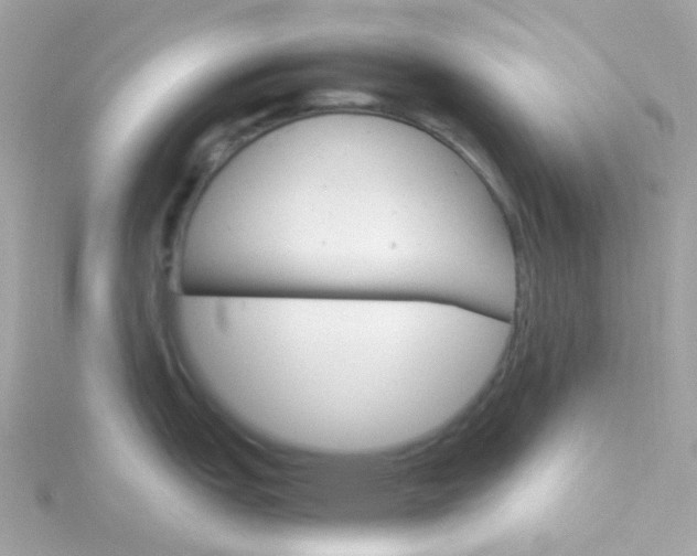 X0000115701151200911251829