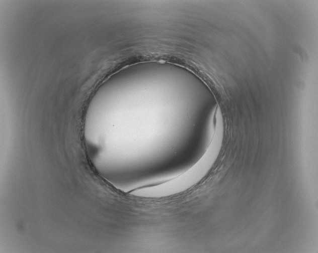 X0000115701153200911251828