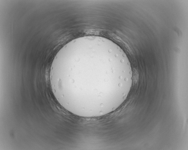 X0000115701154200911251828