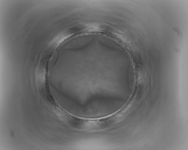 X0000115701161200911251828