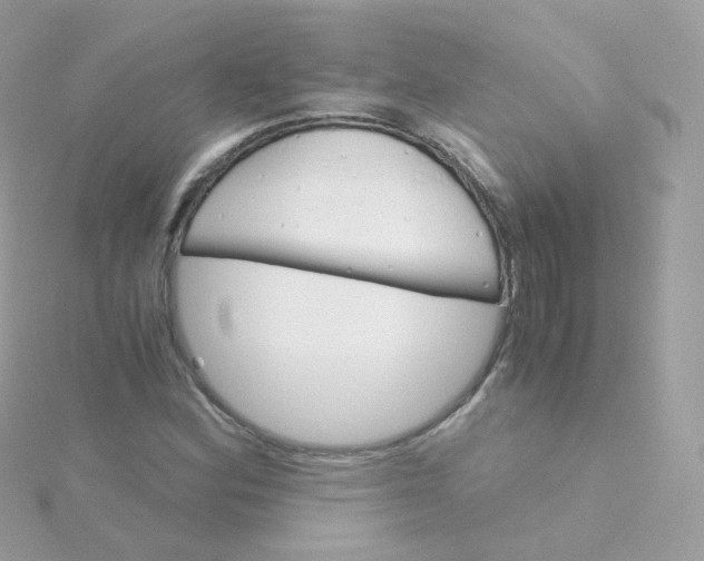 X0000115701164200911251828