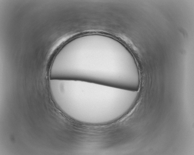 X0000115701167200911251828