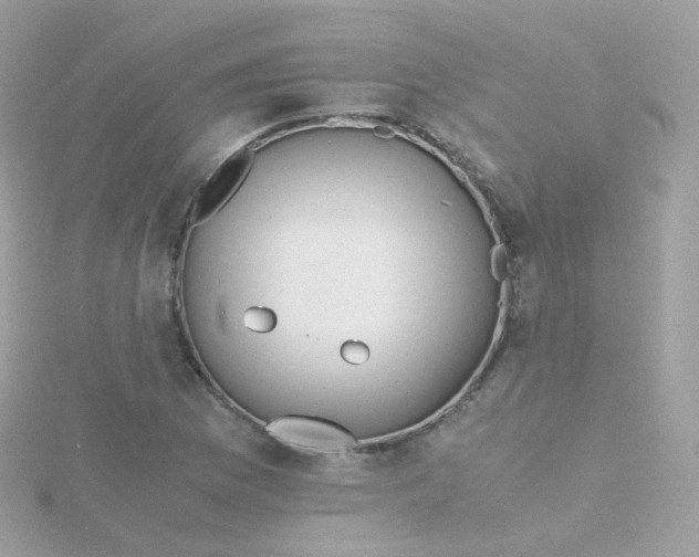 X0000115701169200911251828