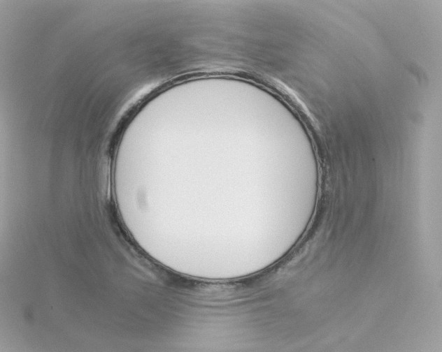 X0000115701171200911251828