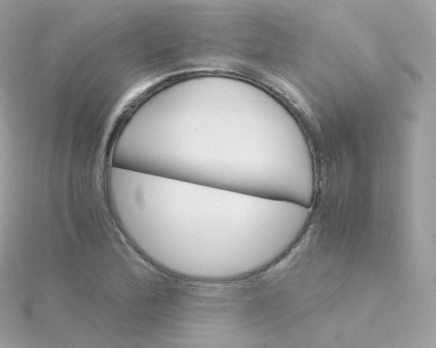 X0000115701172200911251828