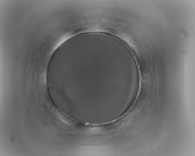 X0000115701173200911251828