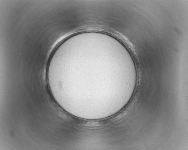 X0000115701174200911251828