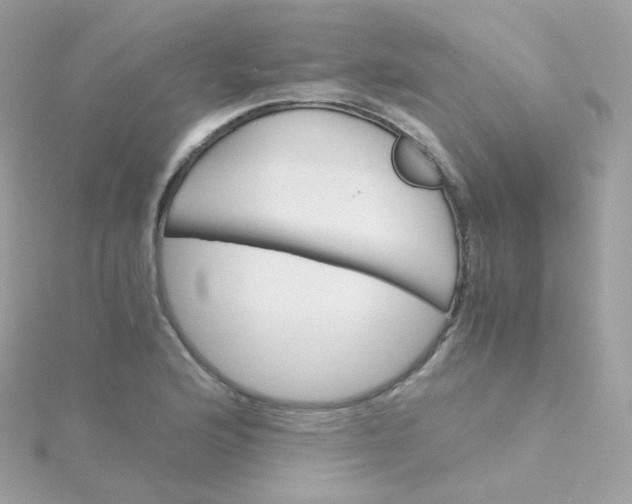 X0000115701176200911251828