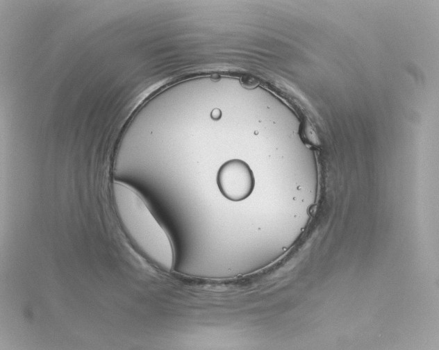 X0000115701177200911251828