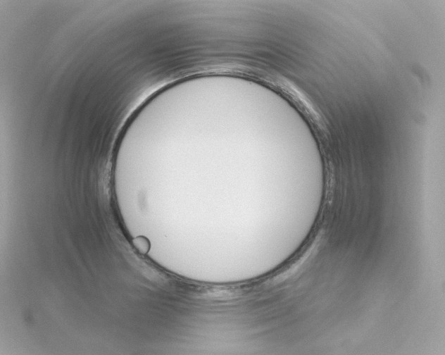 X0000115701178200911251828