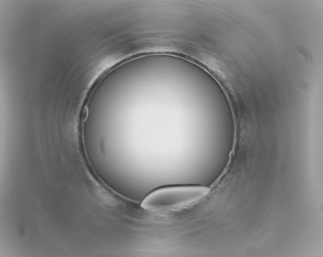 X0000115701181200911251828