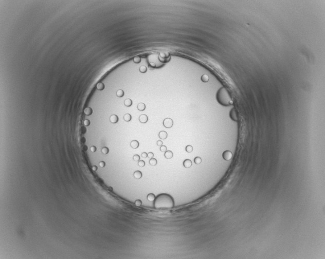 X0000115701186200911251828