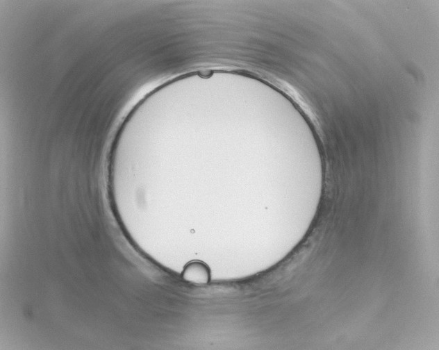 X0000115701187200911251828