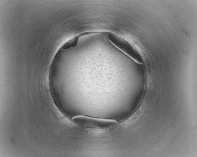 X0000115701189200911251828