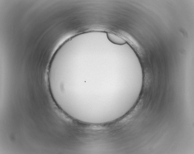 X0000115701190200911251828