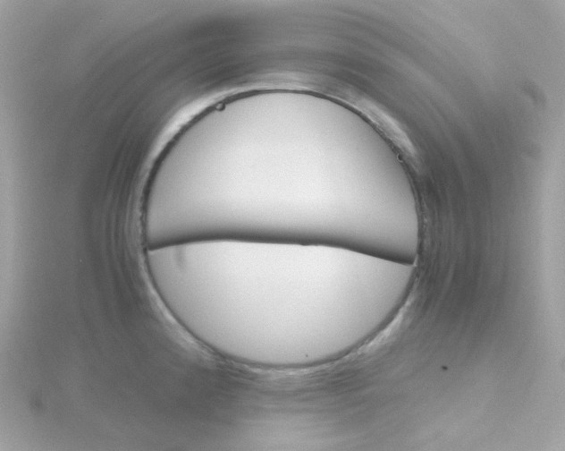 X0000115701192200911251828