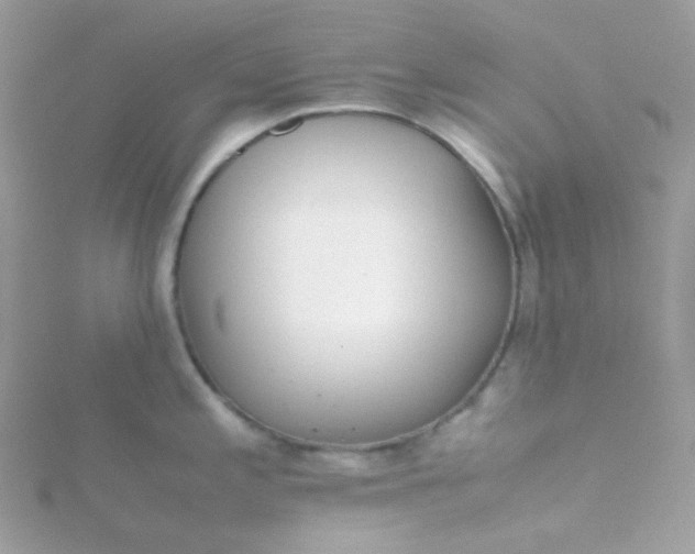 X0000115701197200911251828