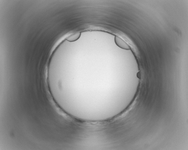 X0000115701198200911251828