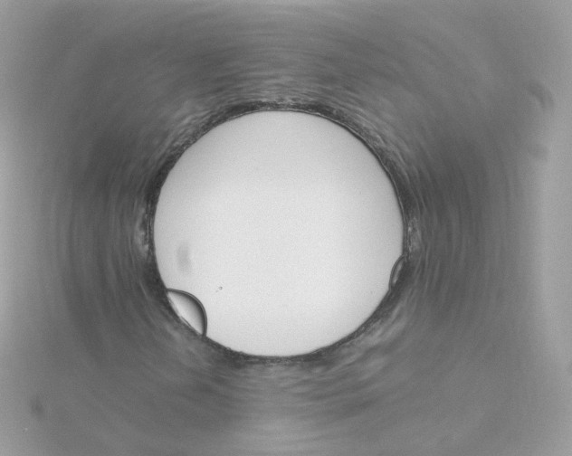 X0000115701202200911251827