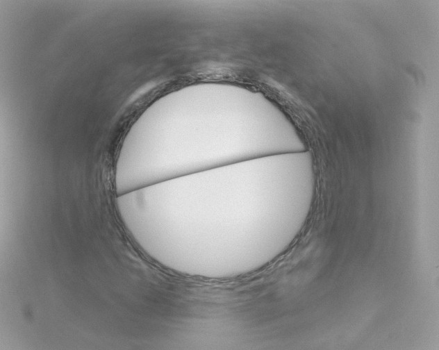 X0000115701206200911251827