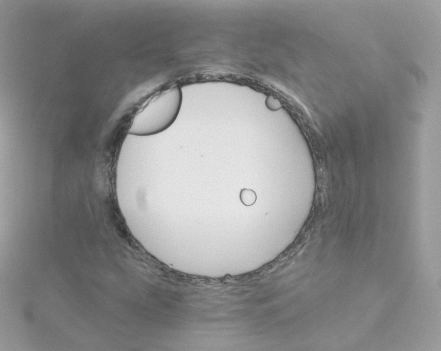 X0000115701207200911251827