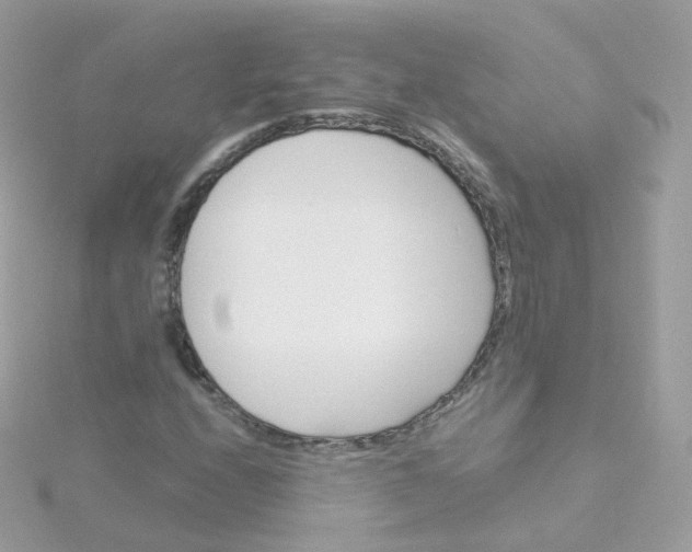 X0000115701208200911251827