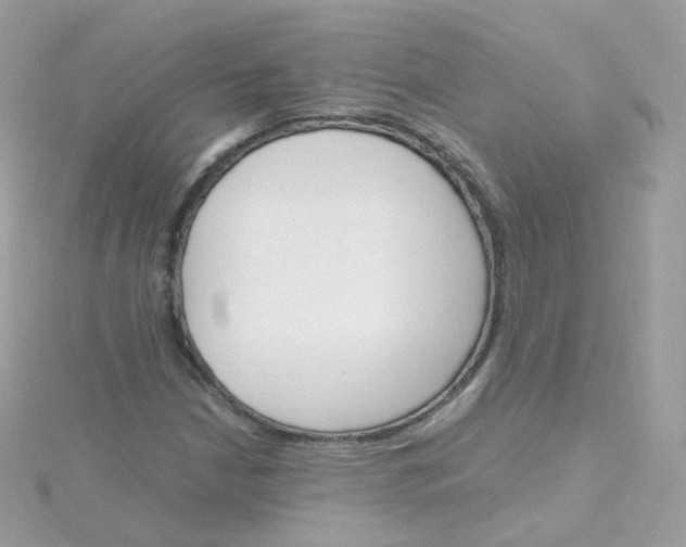 X0000115701210200911251827