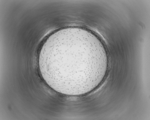 X0000115701211200911251827