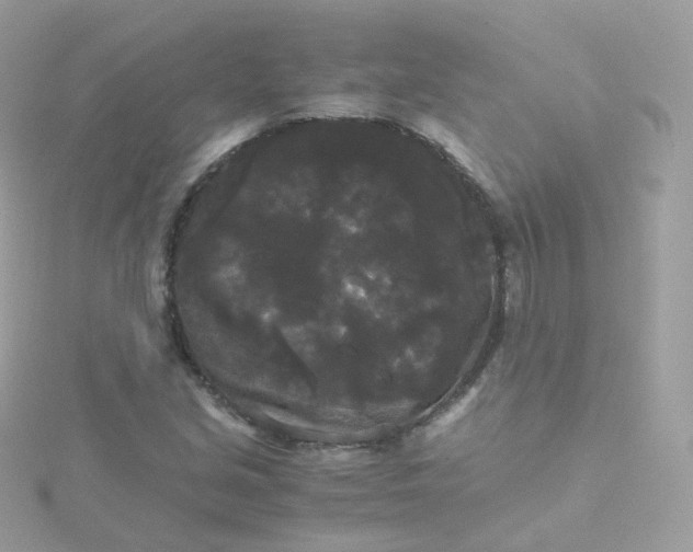 X0000115701213200911251827