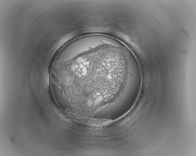 X0000115701221200911251827