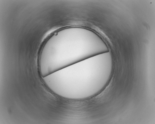 X0000115701222200911251827