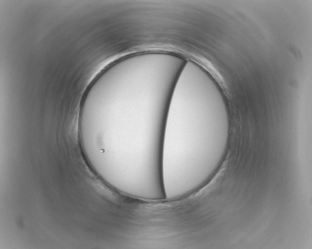 X0000115701228200911251827