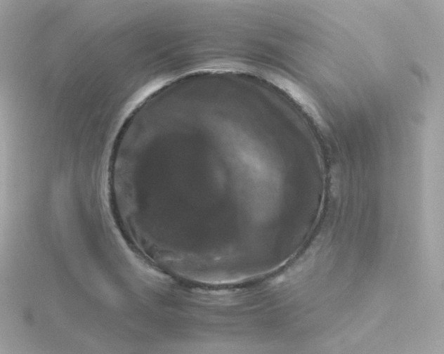 X0000115701229200911251827