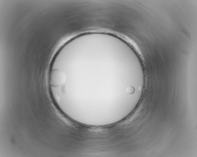 X0000115701231200911251827