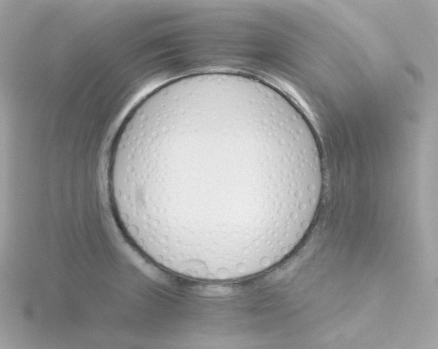 X0000115701235200911251827