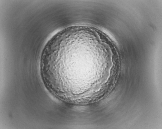 X0000115701237200911251827