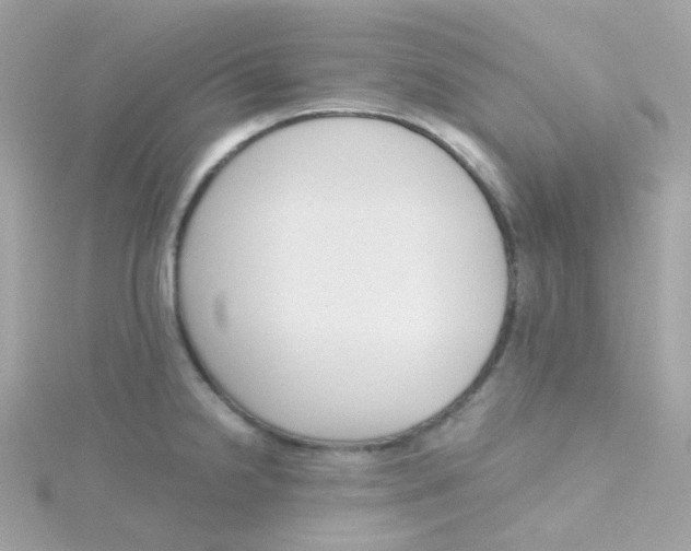 X0000115701238200911251827