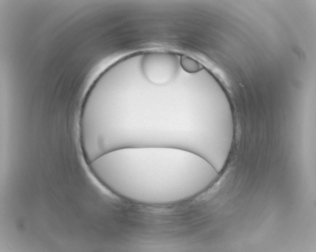 X0000115701239200911251827