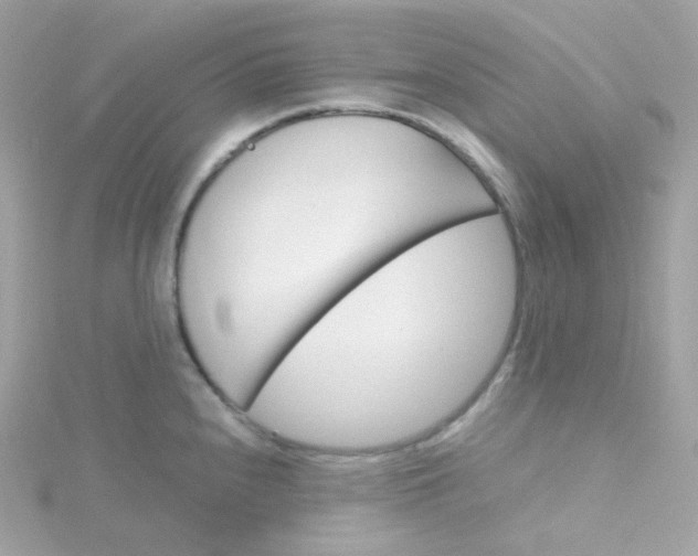 X0000115701240200911251827