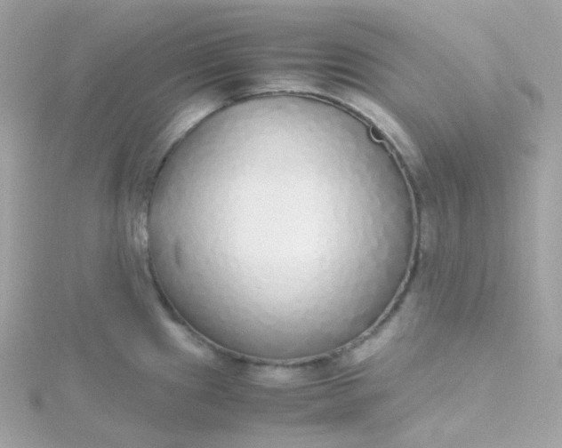 X0000115701241200911251827