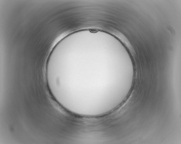 X0000115701242200911251827