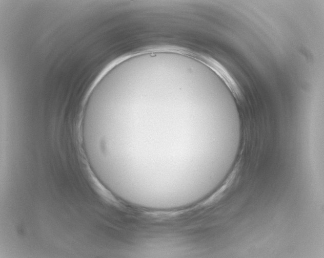 X0000115701244200911251827