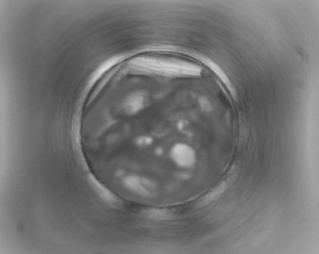 X0000115701245200911251827