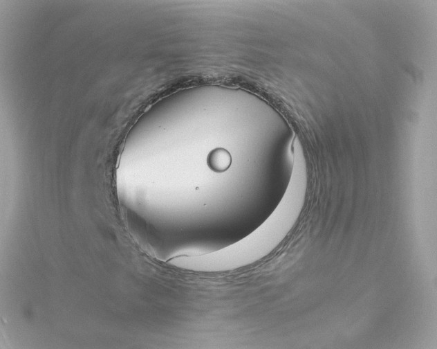 X0000115701249200911251827