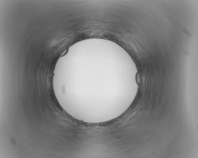 X0000115701250200911251827