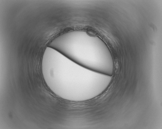 X0000115701252200911251827