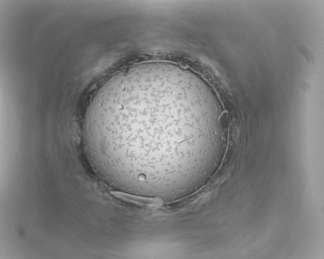 X0000115701253200911251827