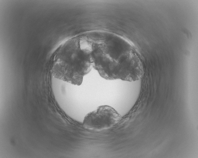 X0000115701255200911251827